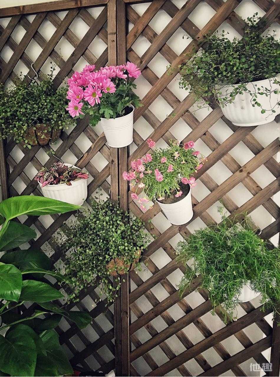 福利狗分享:女鉴黄师专访 污起来没朋友比老司机厉害!