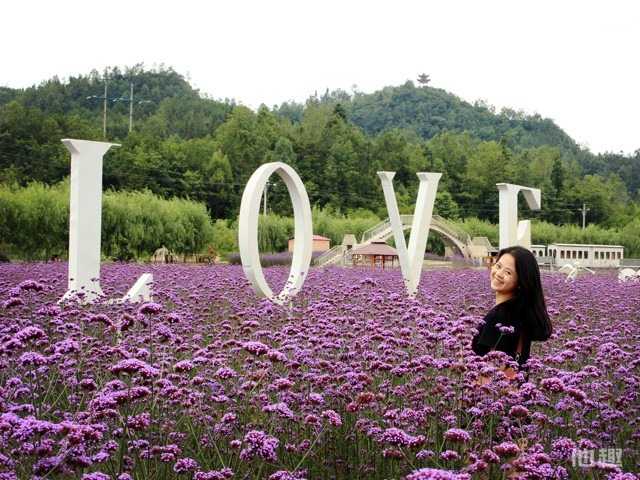 福利狗分享:女鉴黄师专访 污起来没朋友比老司机厉害!