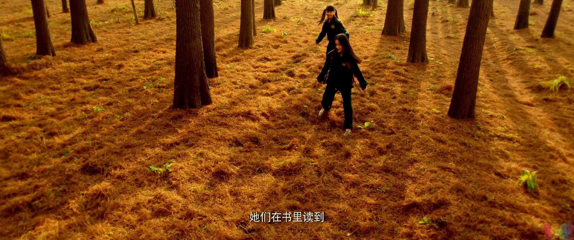 【七月与安生】【超清版.国语中字.720P&1080p.HD-MP4】【2016】 3 【七月与安生】【超清版.国语中字.720P&1080p.HD-MP4】【2016】 3