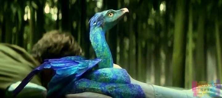 【神奇动物在哪里】【豆瓣8.2分最新奇幻冒险大片.HDTS.清晰版·】【2016】 5 【神奇动物在哪里】【豆瓣8.2分最新奇幻冒险大片.HDTS.清晰版·】【2016】 5